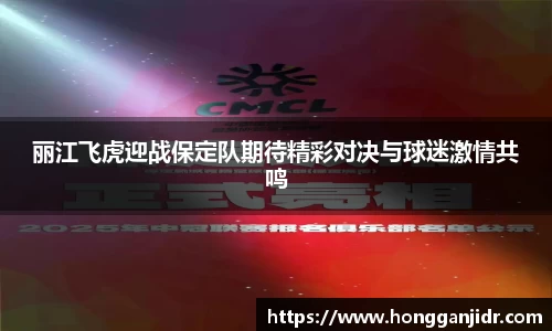 丽江飞虎迎战保定队期待精彩对决与球迷激情共鸣